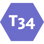 T34