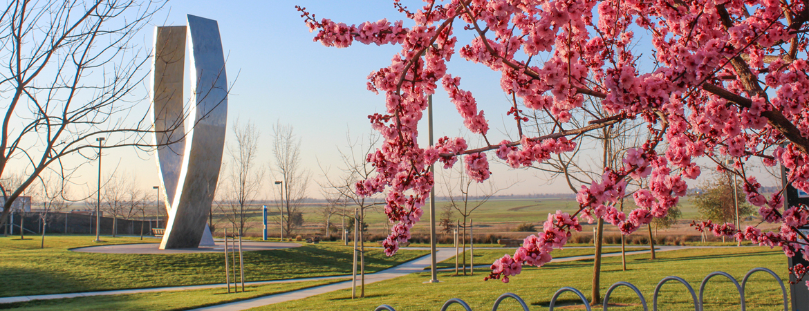 image of flowers and new beginnings sculpture